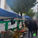 일청로 | 일산시장 일산오일장 10월 28일 장날 다녀온 후기