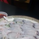 바버펫 이미지
