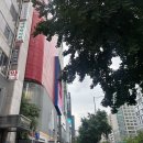 차엔 | 웨딩 팔뚝 관리 지방분해주사 제로팻 4회차 내돈내산 후기