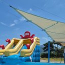 공룡고기 | 250817 고성 공룡고기새우 다녀온 후기