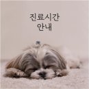 금호동물병원 - 성동구 금호로 105 | 금호동물병원