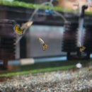 VIP아쿠아카페 이미지