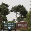 문화광장진입도로 황금개나리길 | 연천 구석기축제 2026 솔직후기 : 주차 전쟁과 바베큐의 현실, 예매팁