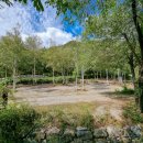 아빠가 만든 캠핑장 이미지