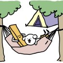 전북세탁 이미지