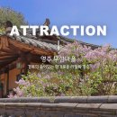 한정교 | 향기로운 라일락 명소가 된 영주 무섬마을 외나무다리