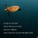 조각배, 인연 동녁바람, 이미지