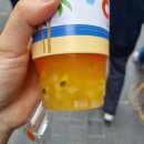 코코버블티 명동중앙점