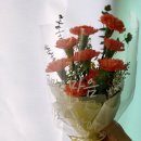 블루메플레르