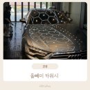 성모카세차장 | [용인] 손세차 올빼미 카워시_아기있는 차 내부세차 추천