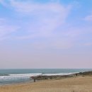 해피트리 고사포점 이미지