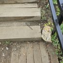 가화길 | 옥천 나들이, 천상의 정원 수생식물 학습원 탐방 + 갈비탕 맛집 추천