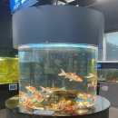 대정수산 이미지