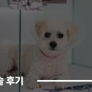 만덕24시동물병원 이미지