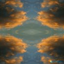 데칼코마니 이미지