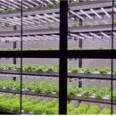 동해선거제해맞이역 이미지