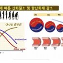 샤르네 이미지