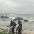 [포항] 이스트케이프, 수영장뷰가 멋진 포항 신상 숙소 후기