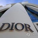 디올이네 이미지