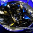 해물포장마차 이미지