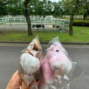 한국팜 | 한국마사회 렛츠런팜 제주 트랙터 투어 후기 1탄