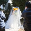 리헤어빌리지 이미지