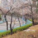 피네 - 용인시 수지구 | 피네