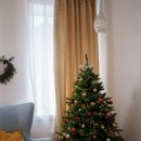 크리스마스 트리 이미지