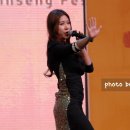 스타팡팡 이미지