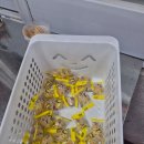 영덕신발 | [경주 / 황성동] 경주 황성동 영덕횟집 후기 | 현지인 추천 회 맛집 점심 횟밥까지 만족