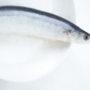 (주)좋은음식 - 용인시 처인구 | (주)좋은음식