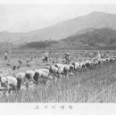 동명중학교 이미지