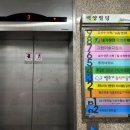 백양음악학원 이미지