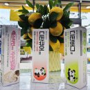 참약사열린약국 이미지