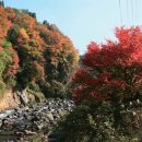 힐링&헬스 이미지