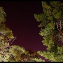 바다와솔숲 이미지