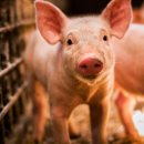 유한회사대한스틸 이미지