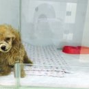 위즈펫동물병원 이미지