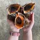 스토어소라 이미지