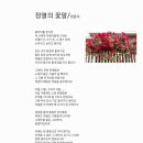 정열의 꽃말 이미지