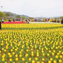 씨유 창녕남지유채점 | [대구 근교 봄나들이 추천] 창녕 남지 유채꽃 명소, 유채꽃 축제후기