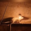 명동멀린호텔 이미지