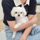 새중앙세차장 | 창원 세차장 추천! 합리적인 가격으로 만족한 창원...기아 니로 하이브리드 손세차 ABC스팀 창원중앙점