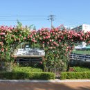 장미공원C 이미지