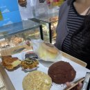 105 | 대전 유성 빵지순례 하레하레 빵 추천 풍자 맛집 성심당 대신 다녀온 후기