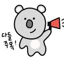 티에스 메디칼 이미지