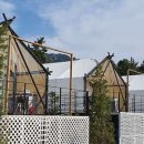 (주)림스 이미지