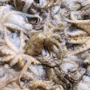 오늘도낙지 이미지