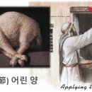요한양만 네이버블로그