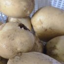 민제농장 이미지